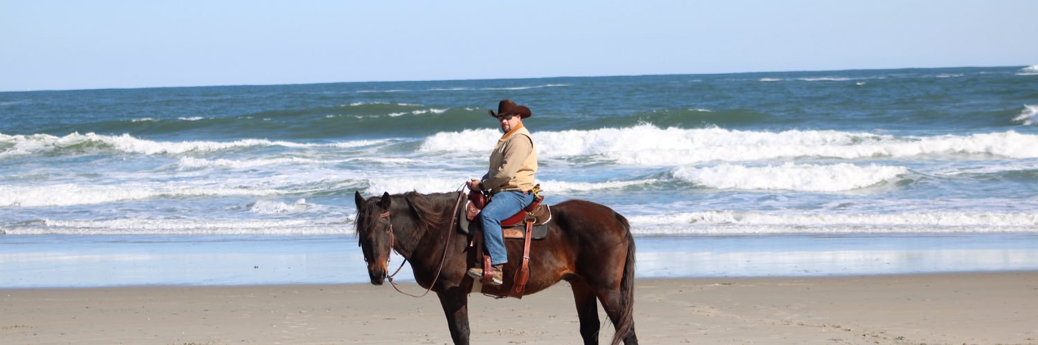 Stephen Burrows banner