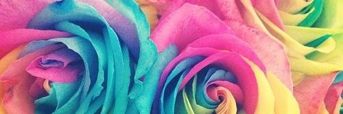 _amyloganx's profile banner image