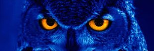 kolmoun1's profile banner image