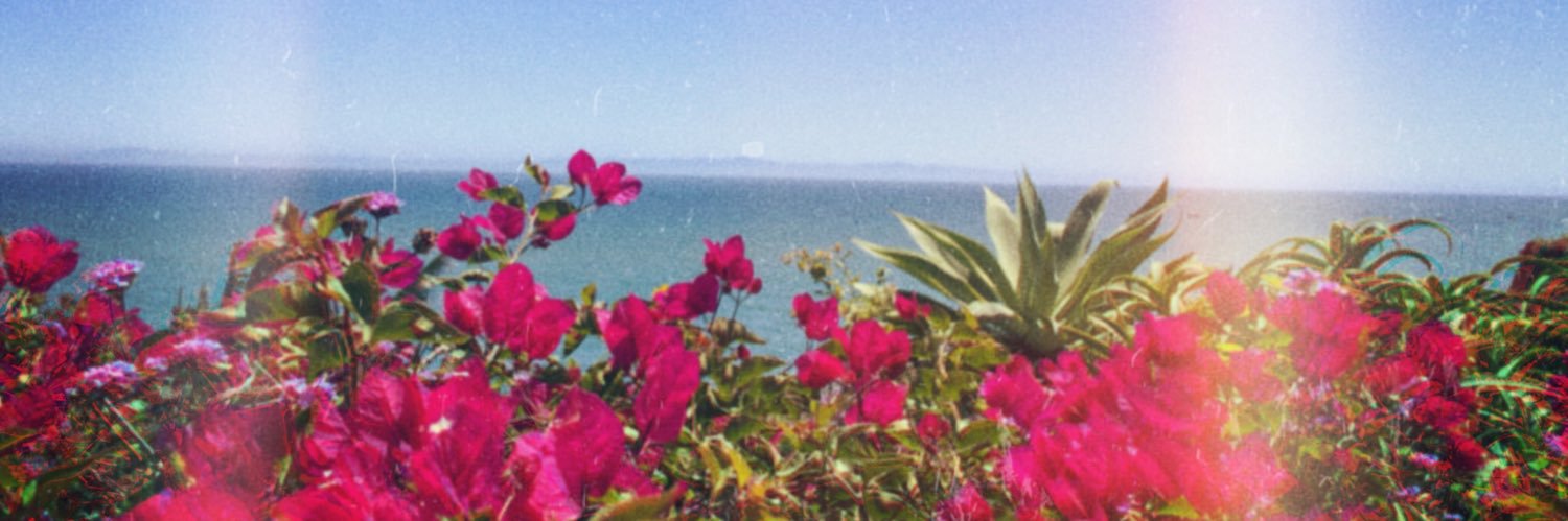 Dinowakes's profile banner image