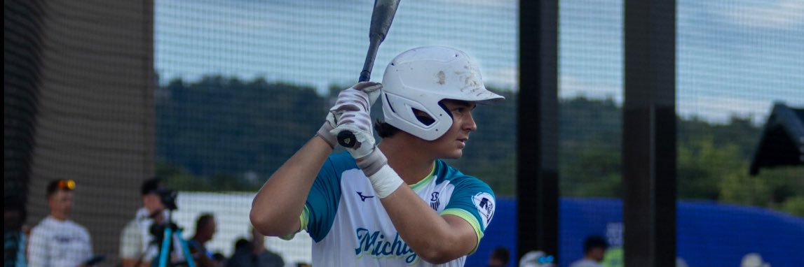 Michael stanton banner