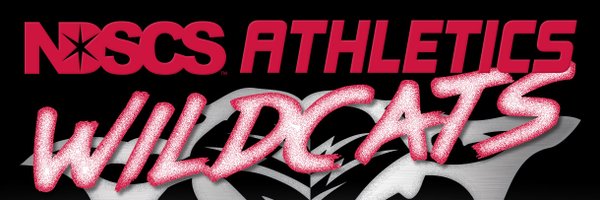 NDSCSAthletics Profile Banner