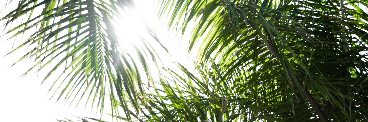 nandranaim's profile banner image