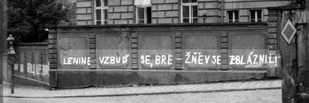 FMedinaHN banner