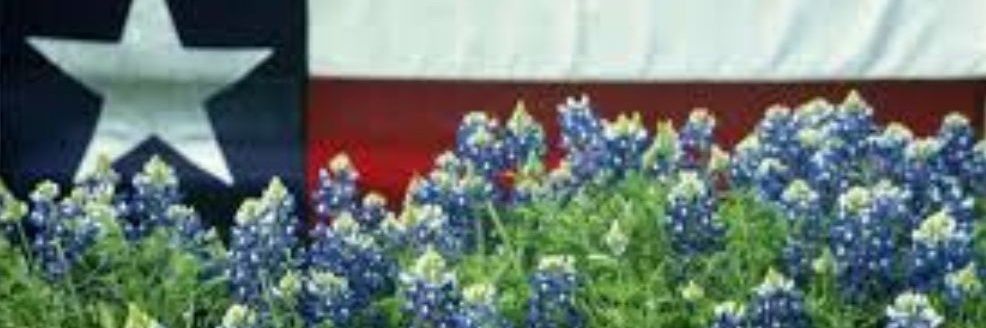 👩🏼CSS.Texas💫's banner