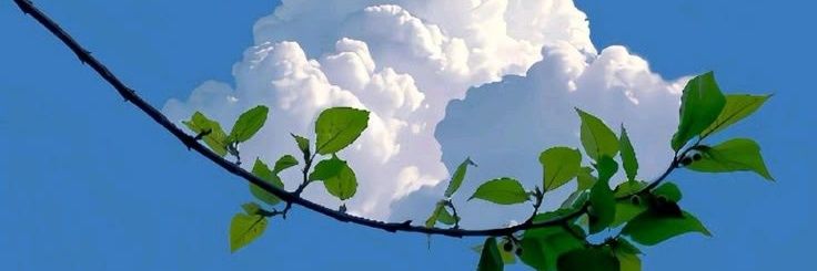 dsvc11262's profile banner image