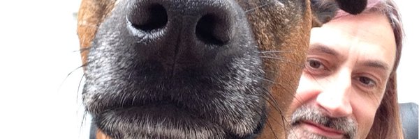 CatcherPaul Profile Banner