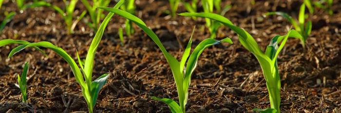 Crop Tech Solutions banner