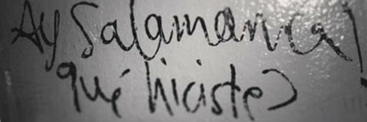 luu_pani's profile banner image