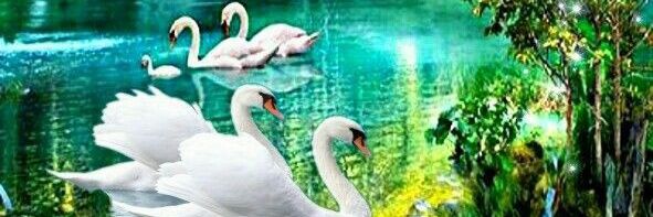 alida4377's profile banner image