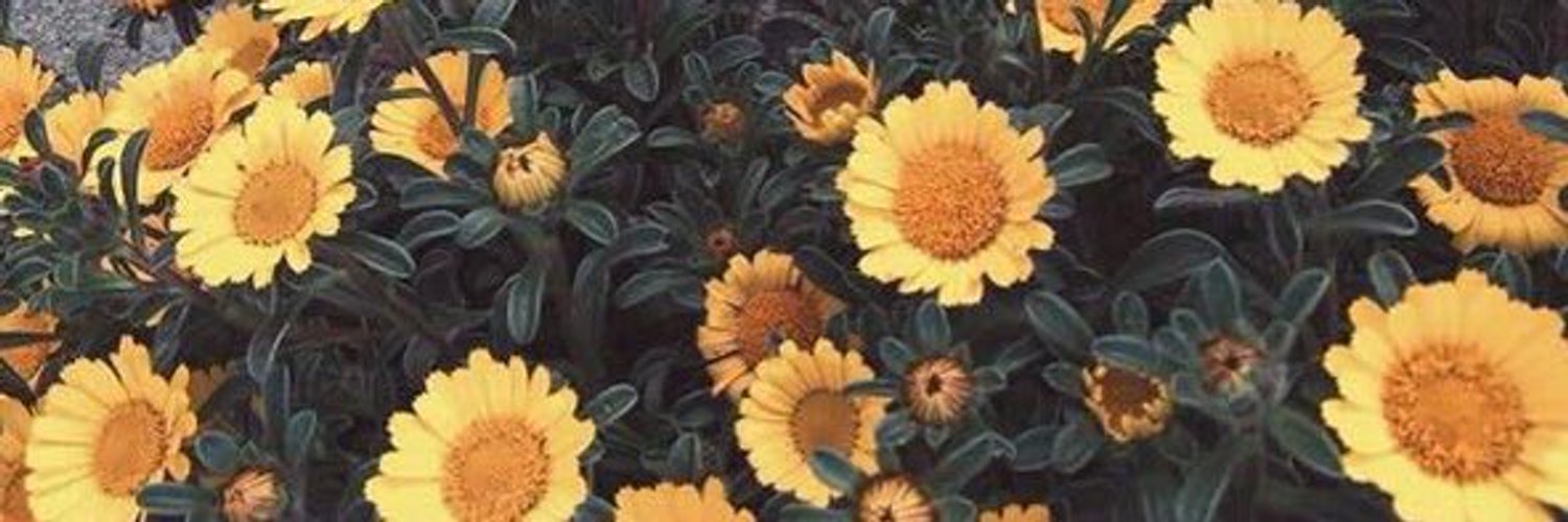 mirnafavela_'s profile banner image