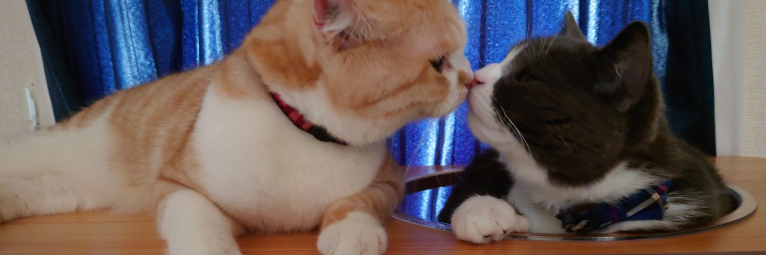 sacchan_2525's profile banner image