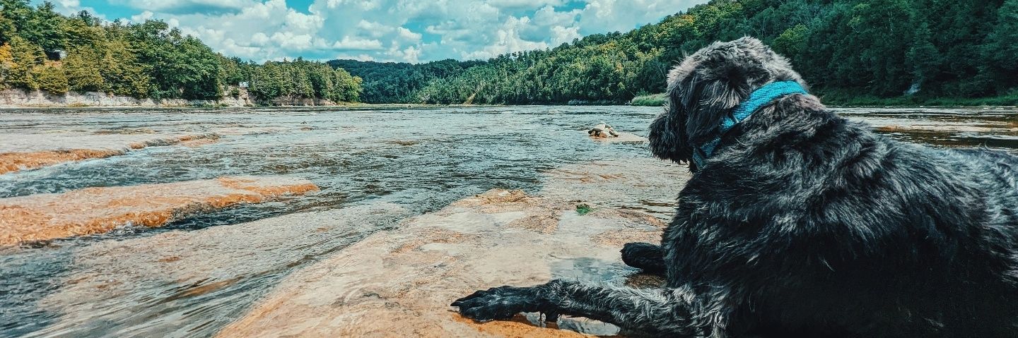 UVSoaked's profile banner image