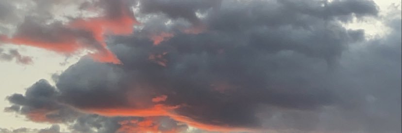 Mustard_Tigerrr's profile banner image