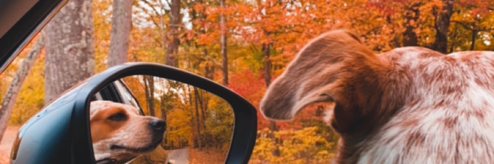 AlikaAnderson's profile banner image