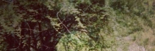 grievemysoul's profile banner image