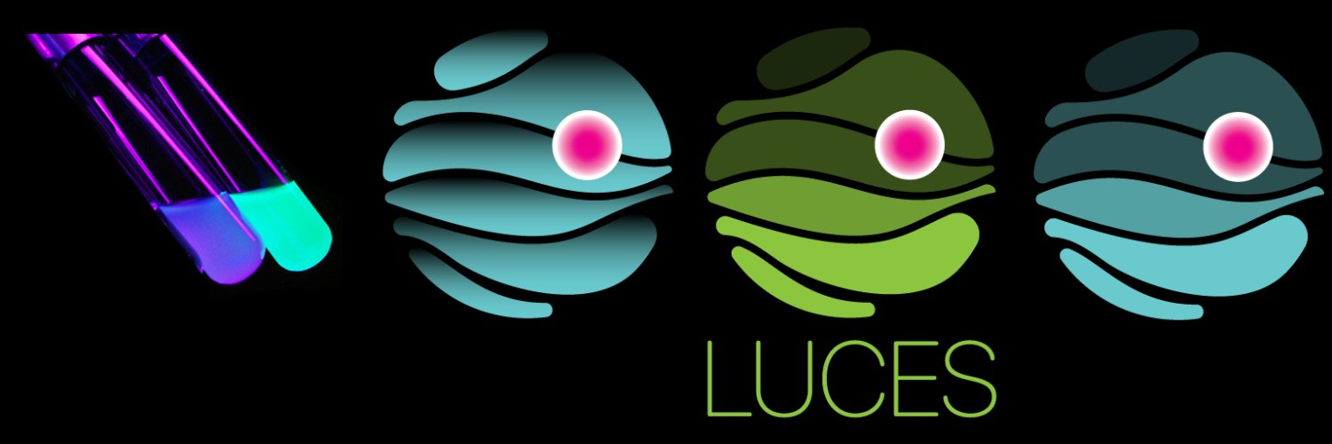 LUCES_COSTAction's banner