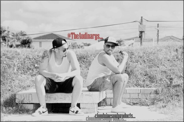 TheAudInarys's profile banner image