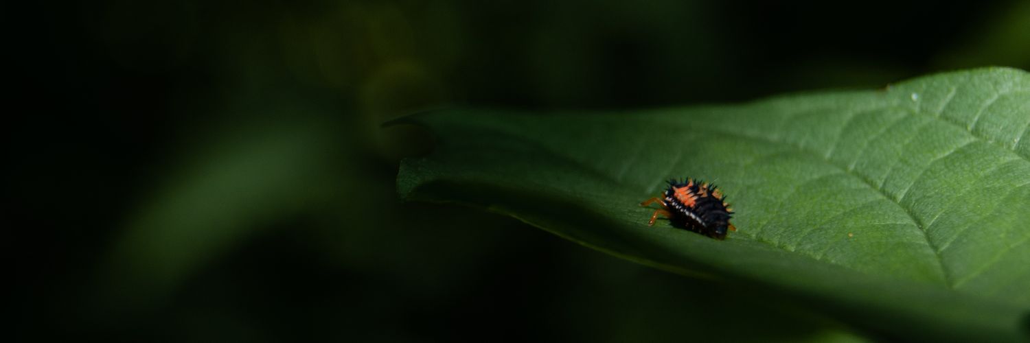 Kate08's profile banner image