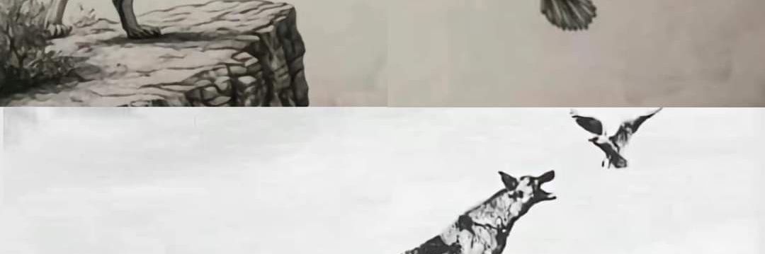 japhyjay's profile banner image