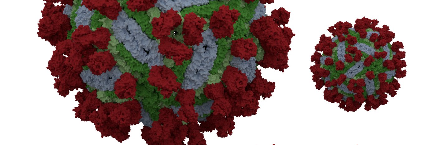 CIISB Instruct-CZ banner