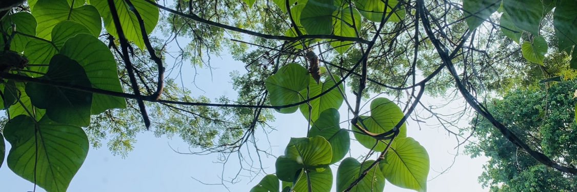 Pinit Sunipan banner