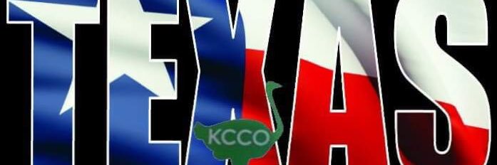 ChiveOnDFW's profile banner image