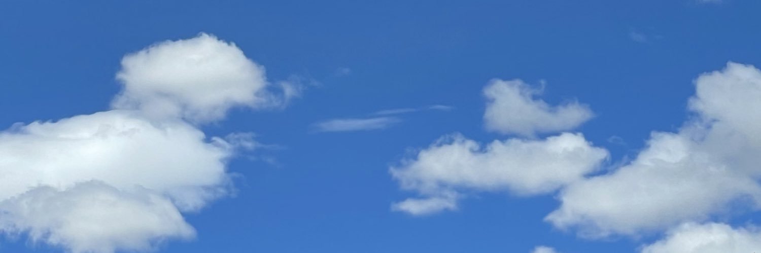 ___mandr's profile banner image