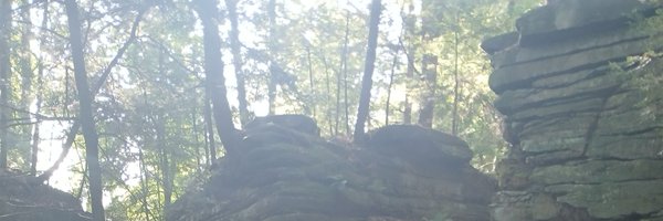 coinmeisterozt Profile Banner