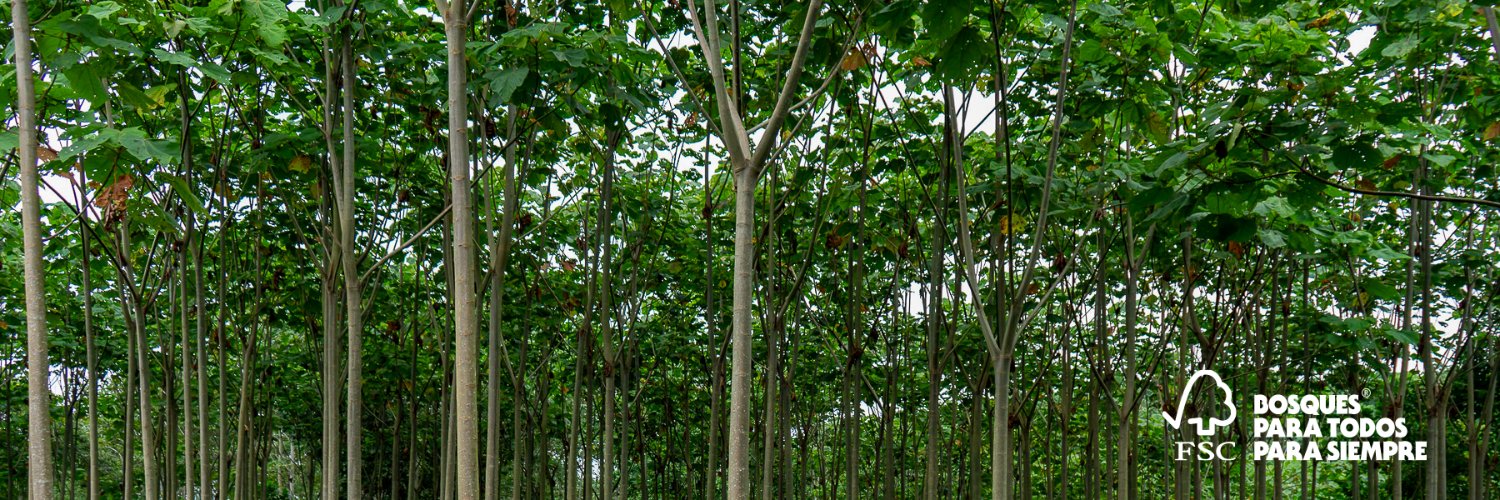 FSCEcuador's profile banner image