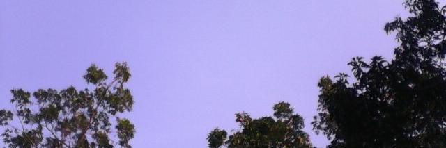 msgbld's profile banner image