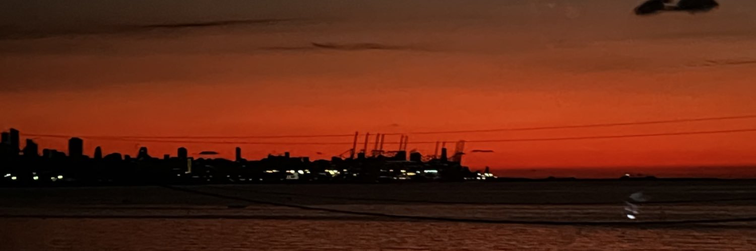 Alain J. Chatry banner