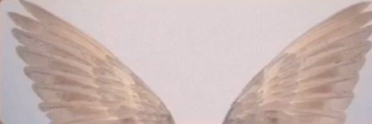 oual_1's profile banner image