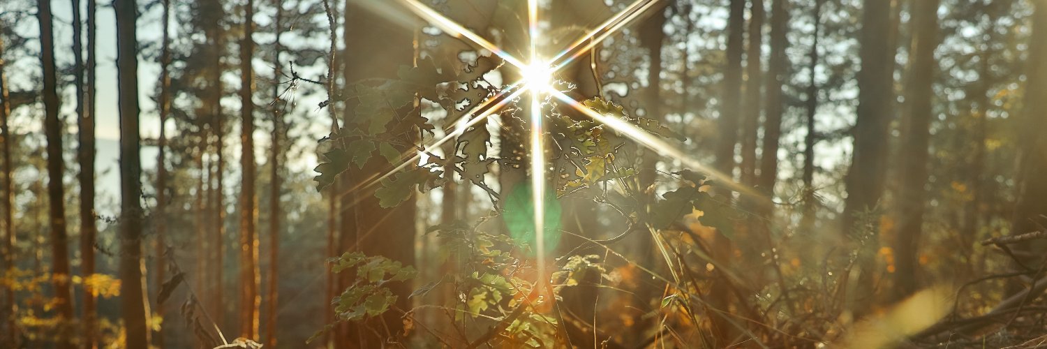 frecaze's profile banner image