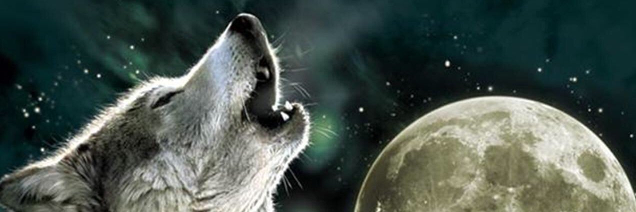 Ricky_Tate's profile banner image