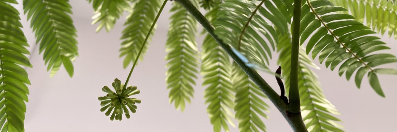うか banner