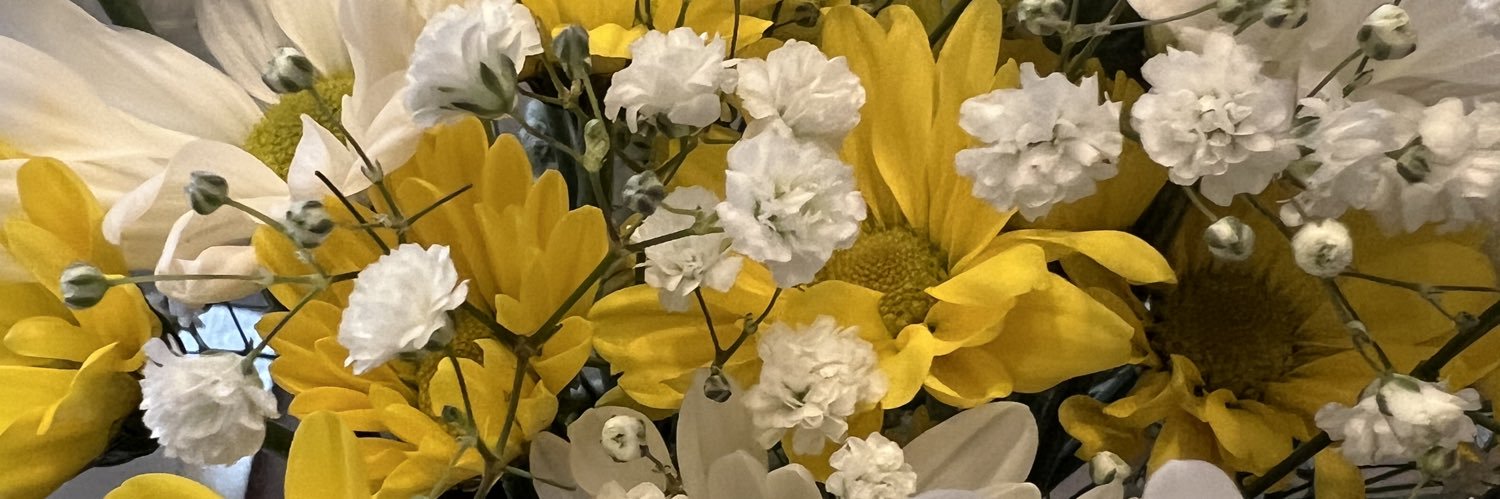 trudellhn's profile banner image