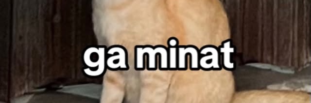 nilsu ⛓ banner