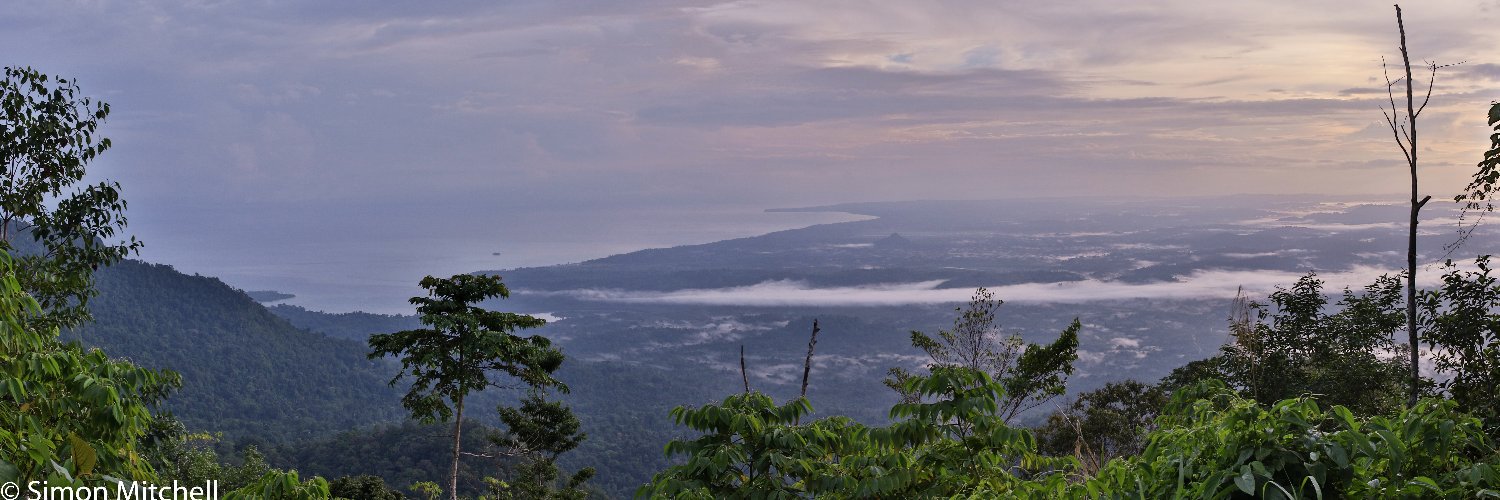 Simon Mitchell banner