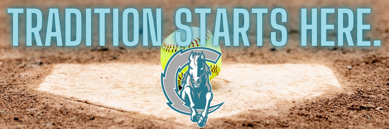 ACHS Chargers Softball's banner