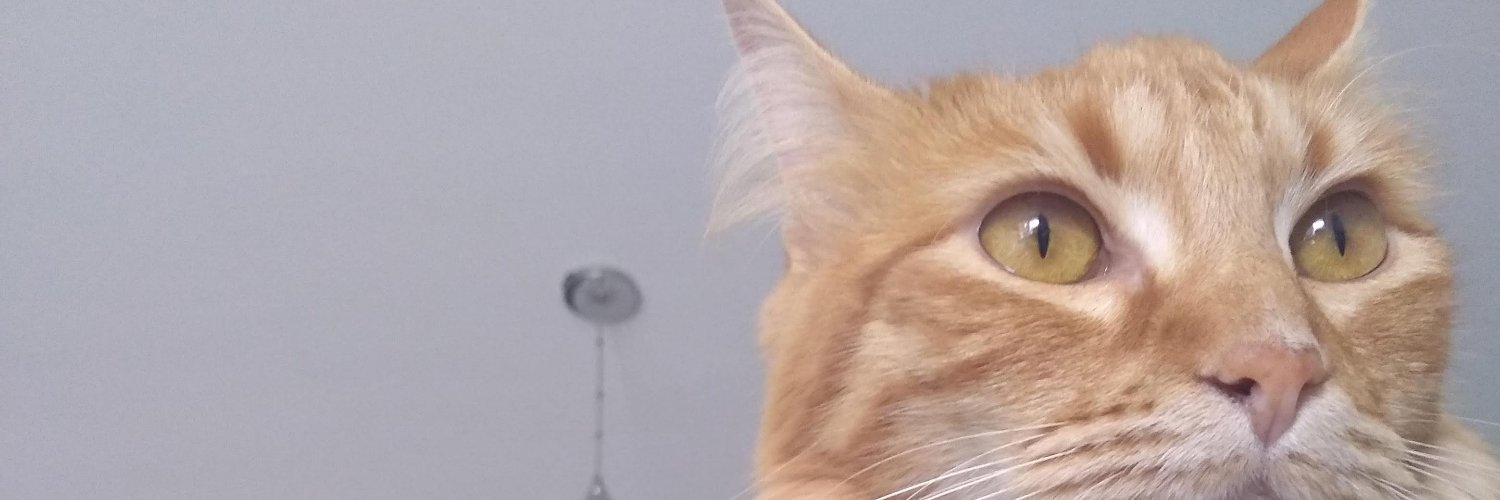 FelipeNL2's profile banner image