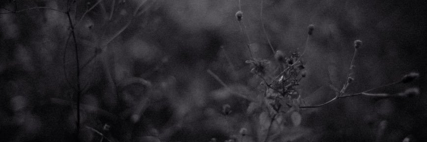 イヨマサ／生活. banner