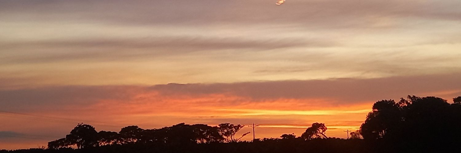 GabyBV92's profile banner image