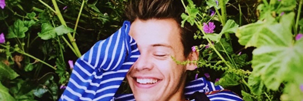 B3autiful_Harry's profile banner image