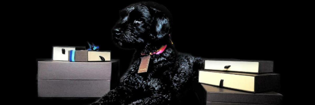 LsDana's profile banner image