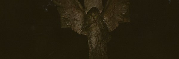 letmedowngently Profile Banner