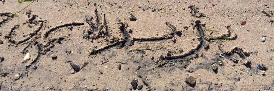 yz_alasmari's profile banner image