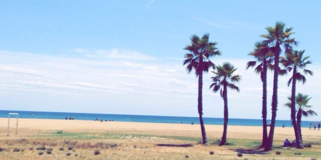 Mar Gusi Vives banner