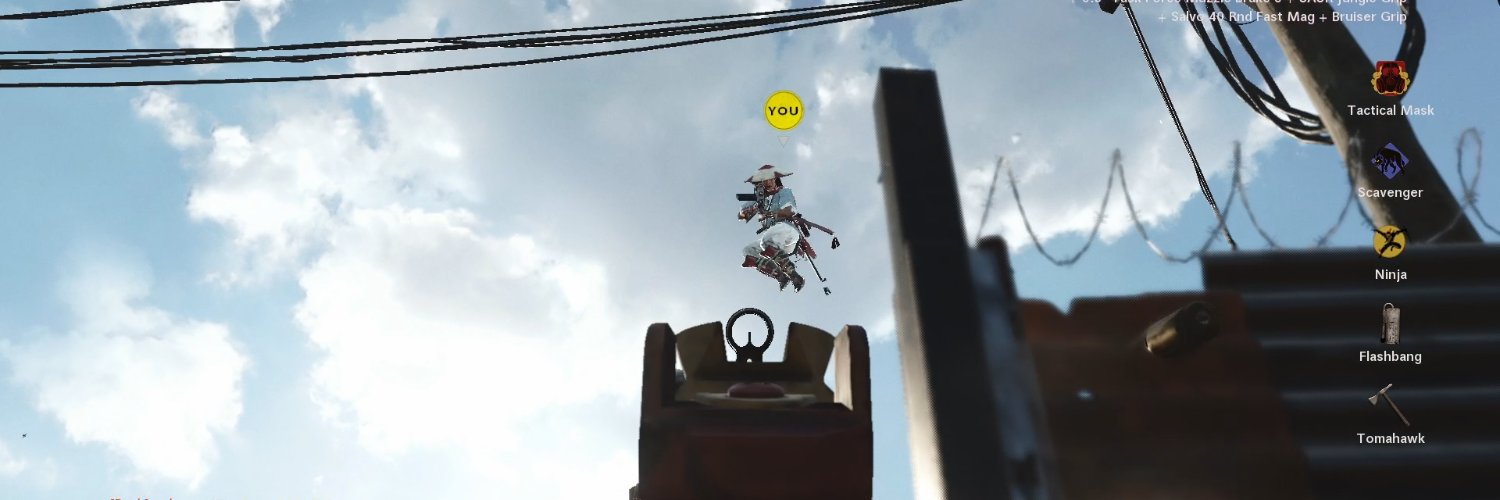 waldo's banner