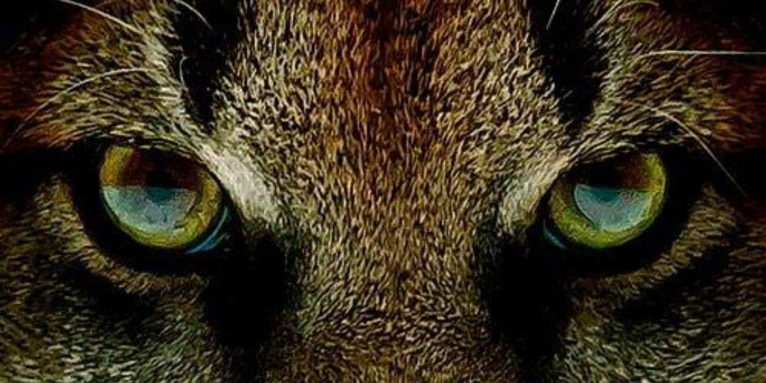 onewayonlyway's profile banner image